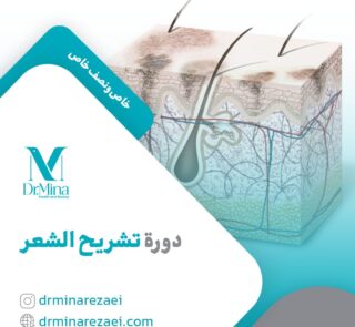 skin anatomy course ar