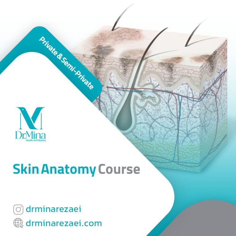 Skin Anatomy Course